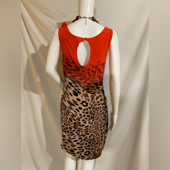 Yoanna Baraschi Anthropologie EUC Animal print silk dress with back zip, size 8 - Picture 4 of 12